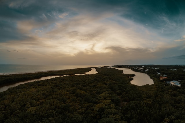 Sanibel's estuary's 